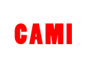 Логотип CAMI