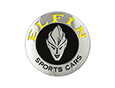 Elfin