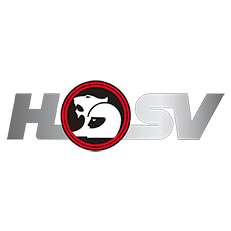 HSV