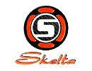 Логотип Skelta