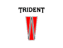 Логотип Trident