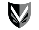 Логотип Vanderhall