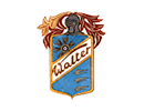 Логотип Walter