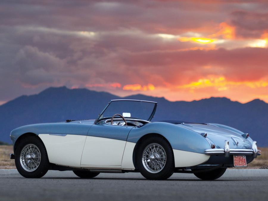 1955 Austin Healey 100