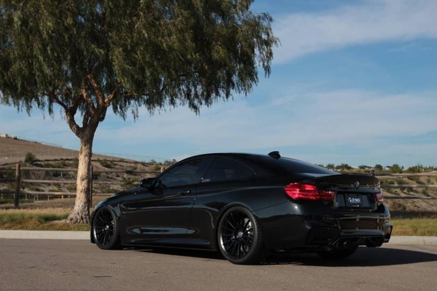 BMW M4 Coupe Black on Black by TAG Motorsports 2016 Ð³Ð¾Ð´Ð° (Ñ„Ð¾Ñ‚Ð¾ 4 Ð¸Ð· 4). 