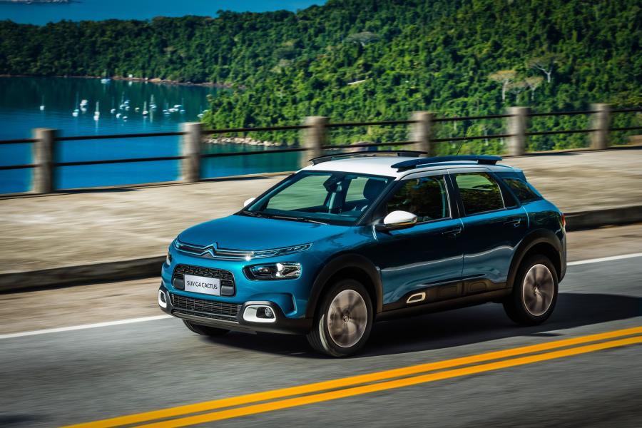 C4 Cactus 2021