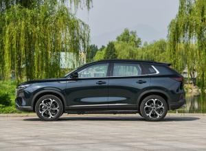Dongfeng Fengshen Haoji 2022 года  (CN)