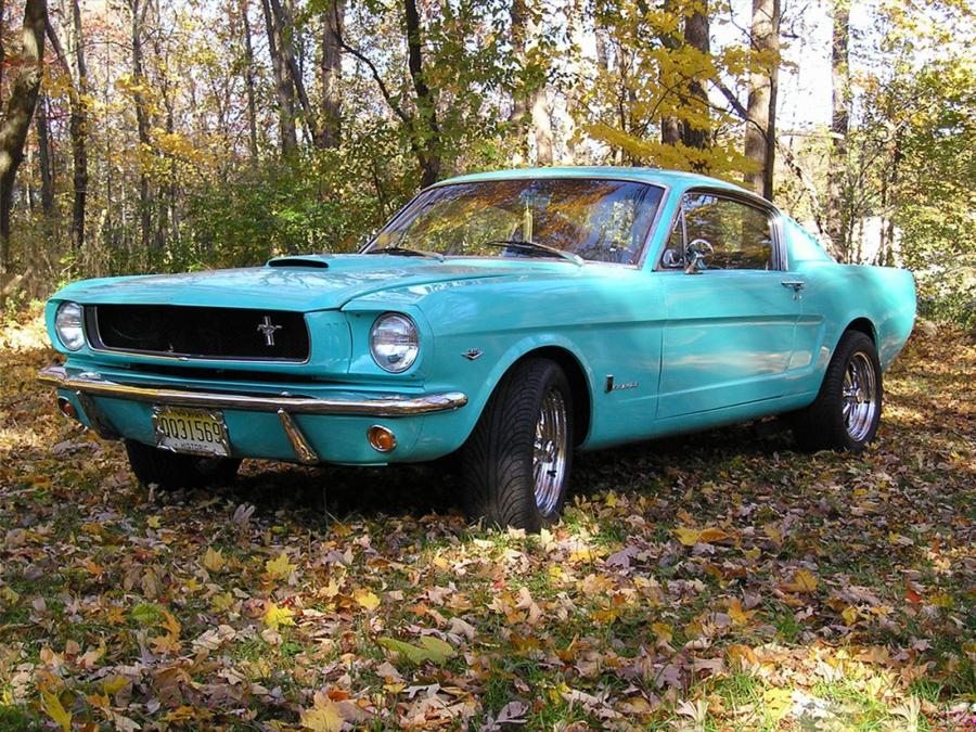 1965 года выпуска. Ford Mustang Fastback 1965 и Plymouth Barracuda. Волга под Форд Мустанг Fastback. Возле Волги Мустанг. Помесь Волги и Мустанга.