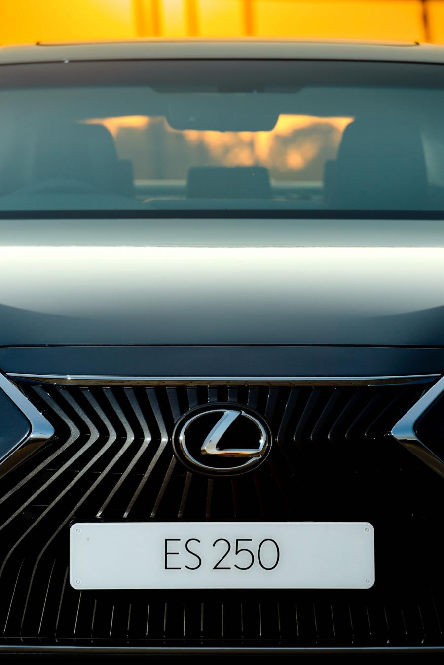 Логотип Lexus ES250 2018 года выпуска для рынка Южной Африки. Фото 3.  VERcity