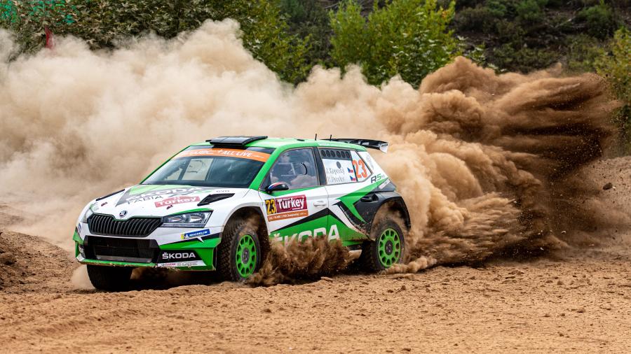 Skoda Fabia WRC Winter