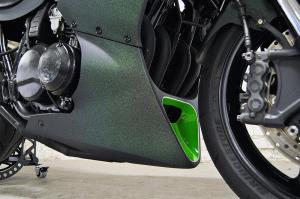 2017 Kawasaki GPZ750 Saki Racer
