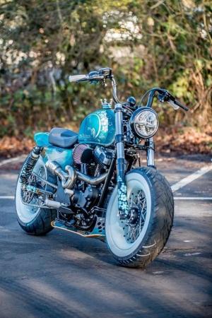 2017 Harley-Davidson XL1200X Sportster Beach Bobber 48 by Shaw's Speed & Custom