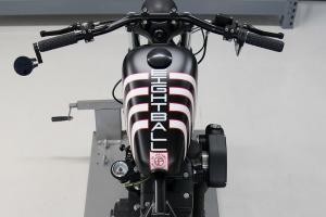 2001 Harley-Davidson Sportster 1200 Hardtail by DP Customs