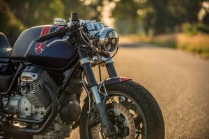 2017 Moto Guzzi Breva 750 Moto-Saki by Natalie Fleetwood