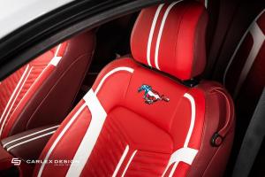 2017 Ford Mustang GT Stage II by Roush and Carlex Design