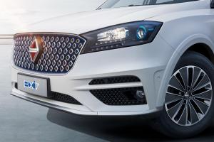 2017 Borgward BXi7