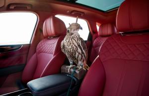 2017 Bentley Bentayga Falconry by Mulliner