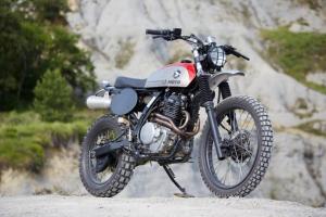 1989 Honda NX650 Scrambler Dominator by ZZMoto