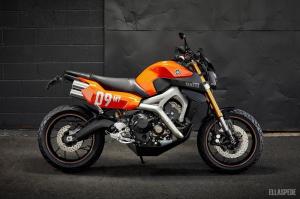 2014 Yamaha FZ-09 by Ellaspede