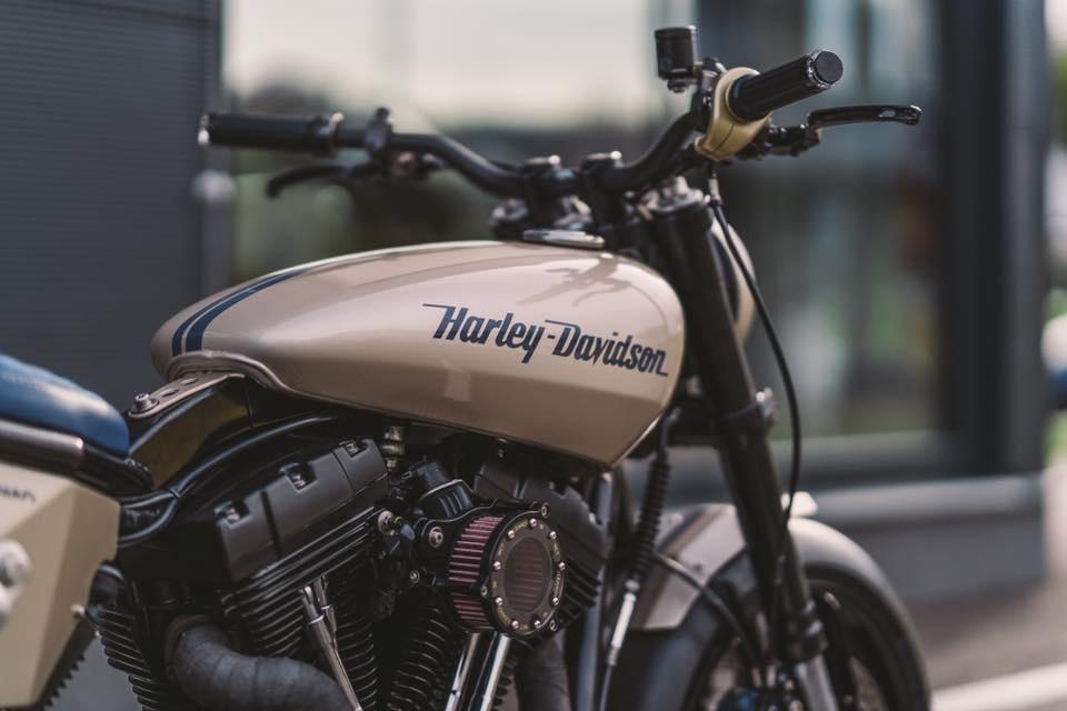 Harley Davidson Dyna Scrambler