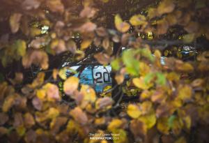 2017 Porsche 911 GT3 RS Rusty Gulf Livery by Neidfaktor