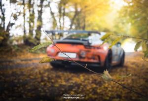 2017 Porsche 911 GT3 RS Rusty Gulf Livery by Neidfaktor