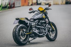 2017 Harley-Davidson Dyna Low Rider S by Thunderbike