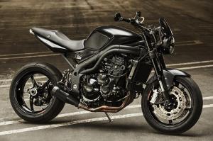2009 Triumph Speed Triple New Order by Stan Evans