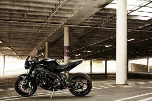 2009 Triumph Speed Triple New Order by Stan Evans