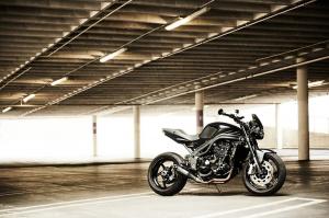 2009 Triumph Speed Triple New Order by Stan Evans
