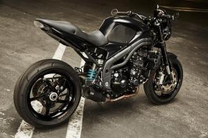 2009 Triumph Speed Triple New Order by Stan Evans