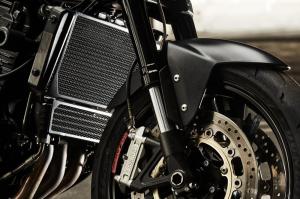 2009 Triumph Speed Triple New Order by Stan Evans
