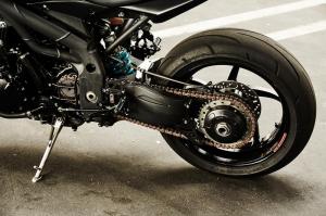 2009 Triumph Speed Triple New Order by Stan Evans