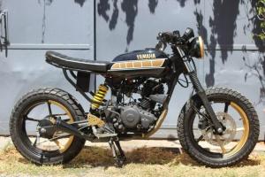 2017 Yamaha FZ16 by Lino Motos Custom
