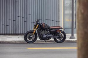 2018 Harley-Davidson XR1200X by Cohn Racers
