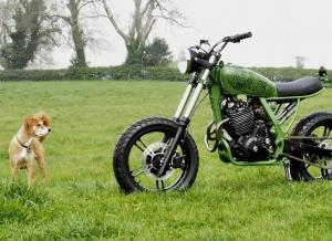 1993 Honda NX650 Mesquito by Marmisto