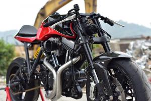 2006 Harley-Davidson Sportster by Danmoto