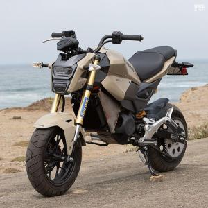 2018 Honda Grom Reaper Custom