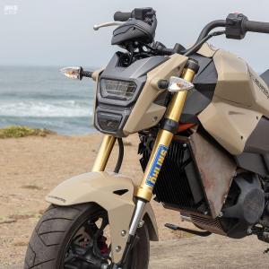 2018 Honda Grom Reaper Custom