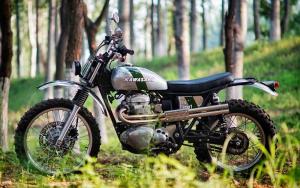 2018 Kawasaki W800 by Mandrill Garage