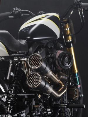 2018 Harley-Davidson Sportster by Injustice Customs