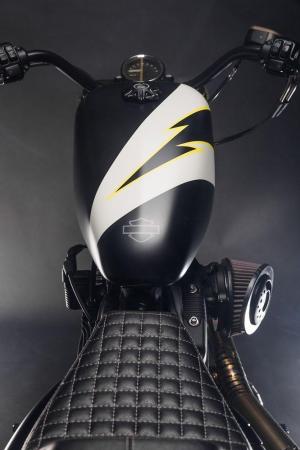 2018 Harley-Davidson Sportster by Injustice Customs