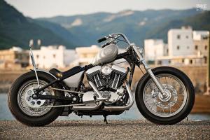 2018 Harley-Davidson Sportster XL1200 by 2LOUD
