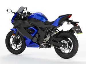 2019 Kawasaki Ninja 125