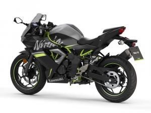 2019 Kawasaki Ninja 125