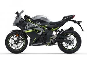 2019 Kawasaki Ninja 125