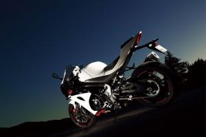 2019 Suzuki GSX-R1000