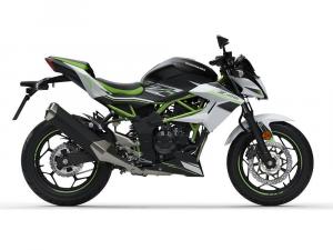 2019 Kawasaki Z125