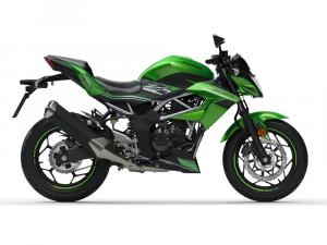 2019 Kawasaki Z125