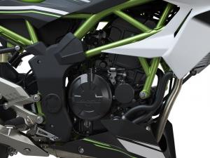 2019 Kawasaki Z125